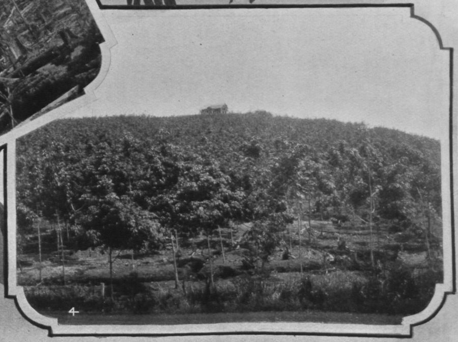 inchkenneth-rekohill-estate-1908.png