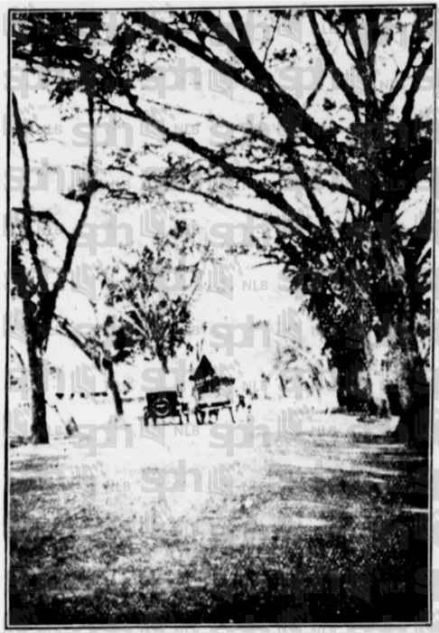 straitsbudget19250424-1-2-71-5-kajangstreetscene.png