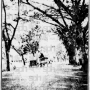 straitsbudget19250424-1-2-71-5-kajangstreetscene.png